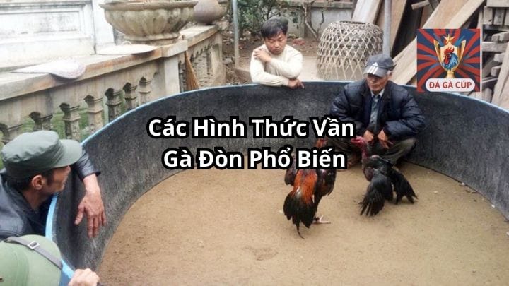 Các Hình Thức Vần Gà Đòn Phổ Biến