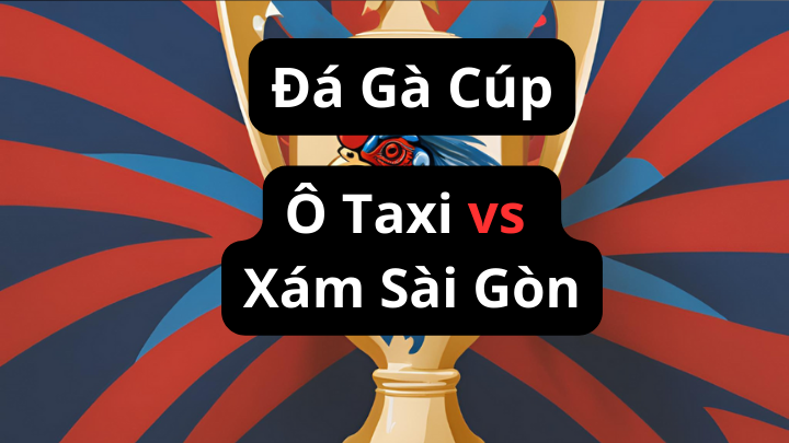 Video đá gà đòn của Ô taxi và Xám sài gòn