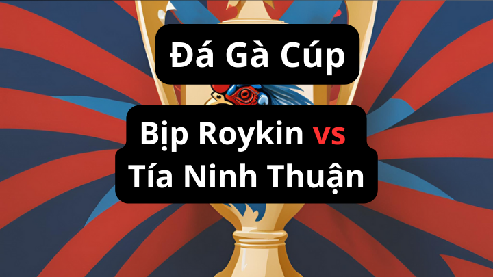 Bịp Roykin Và Tía Ninh Thuận Trận gà đòn của huyền thoại