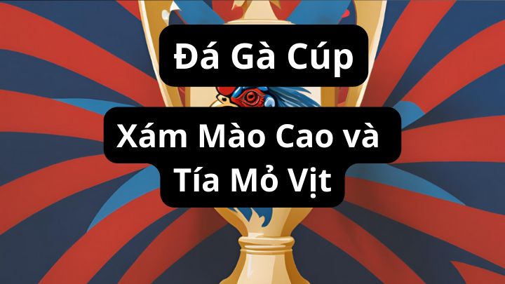 Trận gà đòn giữa Xám mào cao và Tía mỏ vịt