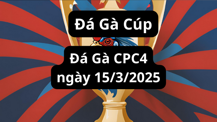 Full video đá gà cpc4 ngày 15/3/2025