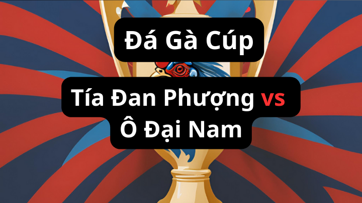 Tía Đan Phượng vs Ô Đại Nam Siêu Cúp 1 Tỷ